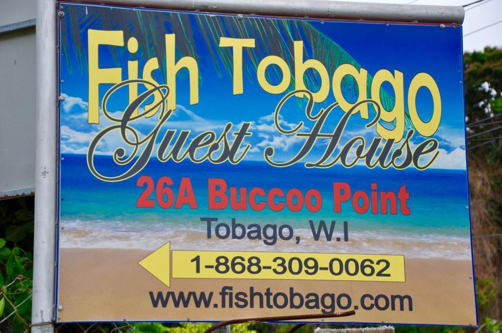 Fish Tobago Guesthouse Buccoo Extérieur photo